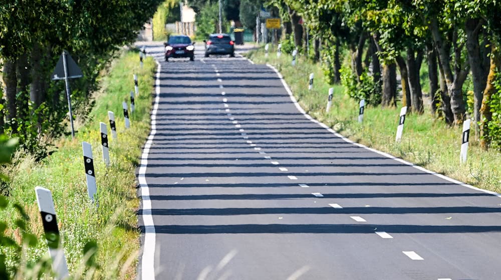 In Berlin und Brandenburg erreichen die Temperaturen am Freitag 32 bis 37 Grad. (Symbolbild) / Foto: Jens Kalaene/dpa
