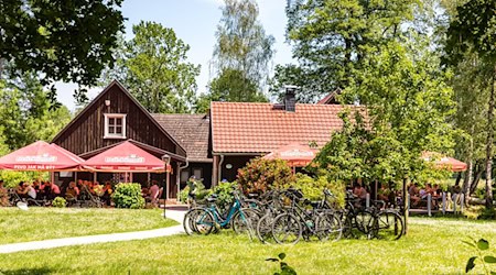 Ein Landgasthof im Spreewald. Bei schönem Wetter gut besucht. Anderswo in Brandenburg sucht man einen solchen Ort vergeblich. (Archivfoto) / Foto: Frank Hammerschmidt/dpa