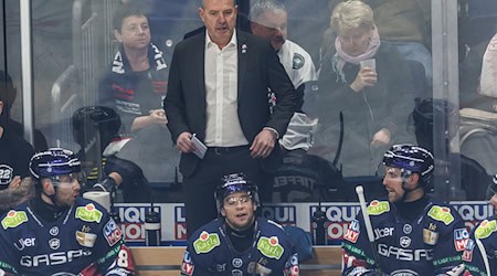 Trainer Serge Aubin ist am Montag mit den Eisbären Berlin in die Saisonvorbereitung gestartet. / Foto: Andreas Gora/dpa