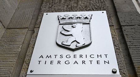 Die Staatsanwaltschaft akzeptiert den Freispruch des Amtsgerichts zu einem Pro-Palästina-Slogan nicht. (Symbolbild)  / Foto: Jens Kalaene/dpa