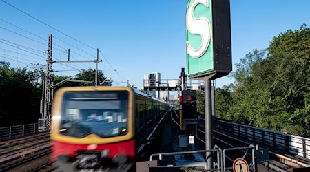 Auf der vielbefahrenen Berliner Stadtbahn-Strecke verkehren mehrere S-Bahn-Linien. (Archivbild) / Foto: Fabian Sommer/dpa