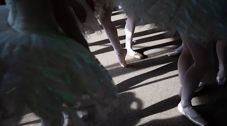 Das Staatsballett Berlin steht bei Kritikern der Fachzeitschrift hoch im Kurs. (Symbolbild) / Foto: Christoph Soeder/dpa