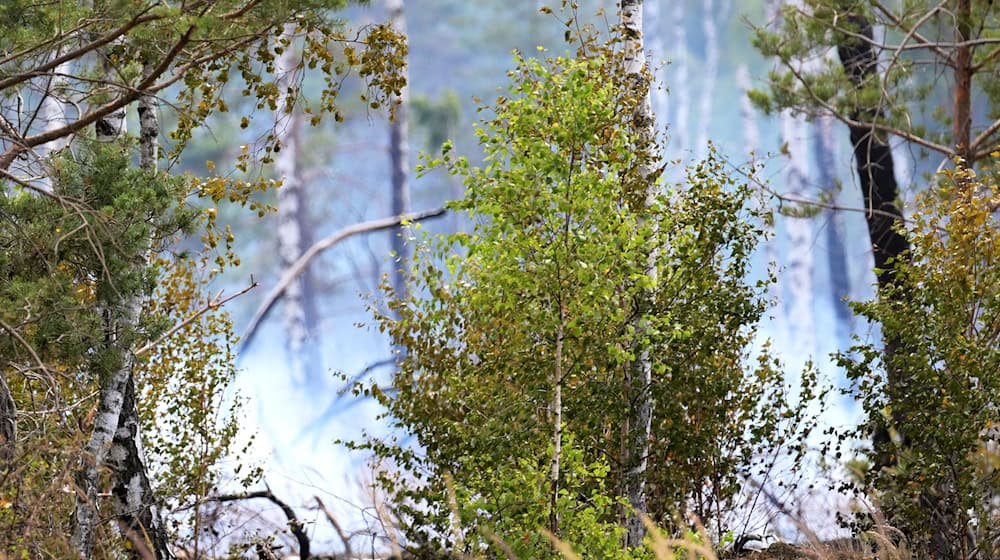 Die Waldbrandgefahr in Brandenburg ist wieder leicht gestiegen. (Symbolbild) / Foto: Michael Bahlo/dpa