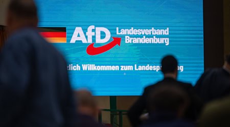 Der Verfassungsschutz hat die AfD Brandenburg als gesichert rechtsextremistisch eingestuft. (Archivbild) / Foto: Monika Skolimowska/dpa