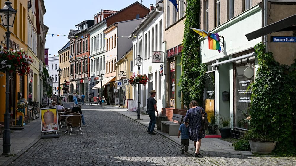2025 findet der Brandenburgtag in Perleberg statt. (Archivbild) / Foto: Jens Kalaene/dpa