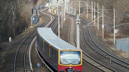 Auf den Linien S2, S8 und S85 kommt es derzeit zu Unterbrechungen und Verspätungen. (Archivbild) / Foto: Soeren Stache/dpa-Zentralbild/dpa