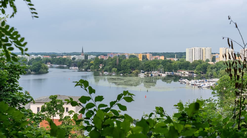 In Potsdam wird am 21. September ein neues Stadtoberhaupt gewählt. (Archivbild) / Foto: Soeren Stache/dpa