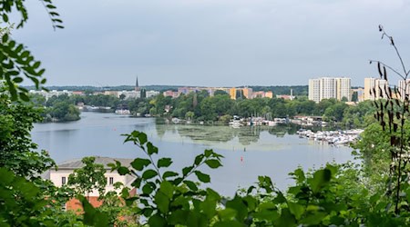 In Potsdam wird am 21. September ein neues Stadtoberhaupt gewählt. (Archivbild) / Foto: Soeren Stache/dpa