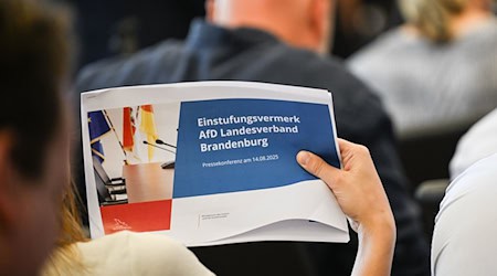Auszüge aus dem offen gelegten Gutachten des Verfassungsschutzes zur Einstufung der AfD in Brandenburg. / Foto: Britta Pedersen/dpa