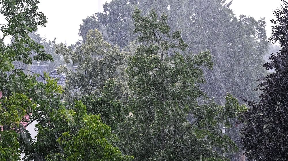 Regnerisch und windig bleibt das Wetter heute in Berlin und Brandenburg – bald wird es freundlicher. (Archivbild) / Foto: Jens Kalaene/dpa