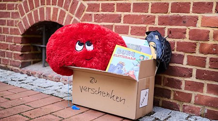 Kuscheltiere und Bücher landen gelegentlich in Verschenk-Boxen auf dem Gehweg. (Symbolbild) / Foto: Annette Riedl/dpa