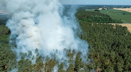 Die Waldbrandgefahr in Brandenburg wird in den nächsten Tagen wieder etwas größer (Archivbild). / Foto: Frank Hammerschmidt/dpa