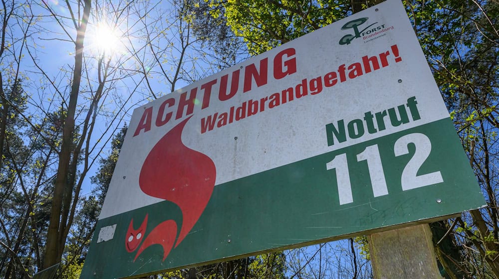 Sommer, Sonne und trockenes Wetter - auch das Waldbrandrisiko steigt wieder. (Archivbild) / Foto: Patrick Pleul/dpa