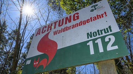 Sommer, Sonne und trockenes Wetter - auch das Waldbrandrisiko steigt wieder. (Archivbild) / Foto: Patrick Pleul/dpa