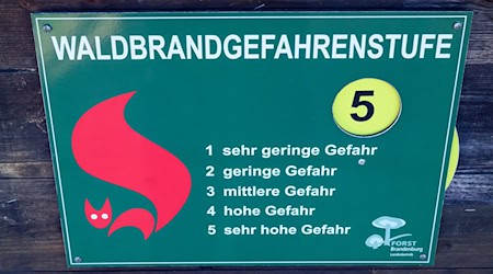 Die Waldbrandgefahr ist gestiegen. (Symbolbild) / Foto: Patrick Pleul/dpa