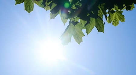Hohe Ozonkonzentrationen treten üblicherweise bei hohen Temperaturen auf. (Symbolbild) / Foto: Annette Riedl/dpa