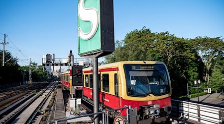 Probleme mit der Stellwerktechnik führen derzeit immer wieder zu Ausfällen und Verspätungen auf der Berliner Stadtbahn. (Archivbild) / Foto: Fabian Sommer/dpa