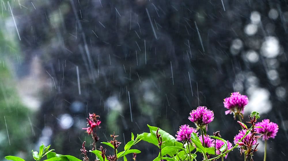 Regen und Wolken bestimmen den Sonntag – erst ab Mittwoch wird’s freundlicher. (Archivbild) / Foto: Jens Kalaene/dpa