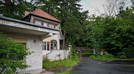 Die Siemens-Villa wird versteigert. (Archivbild) / Foto: Jens Kalaene/dpa