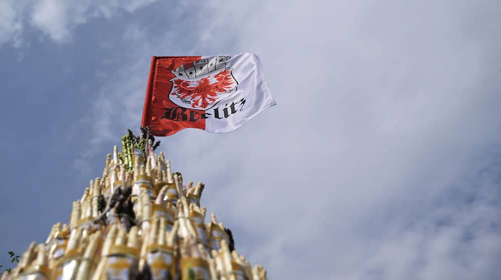 Die Stadt in Brandenburg ist für ihren Spargel bekannt. (Archivbild) / Foto: Michael Bahlo/dpa