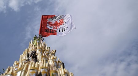 Die Stadt in Brandenburg ist für ihren Spargel bekannt. (Archivbild) / Foto: Michael Bahlo/dpa
