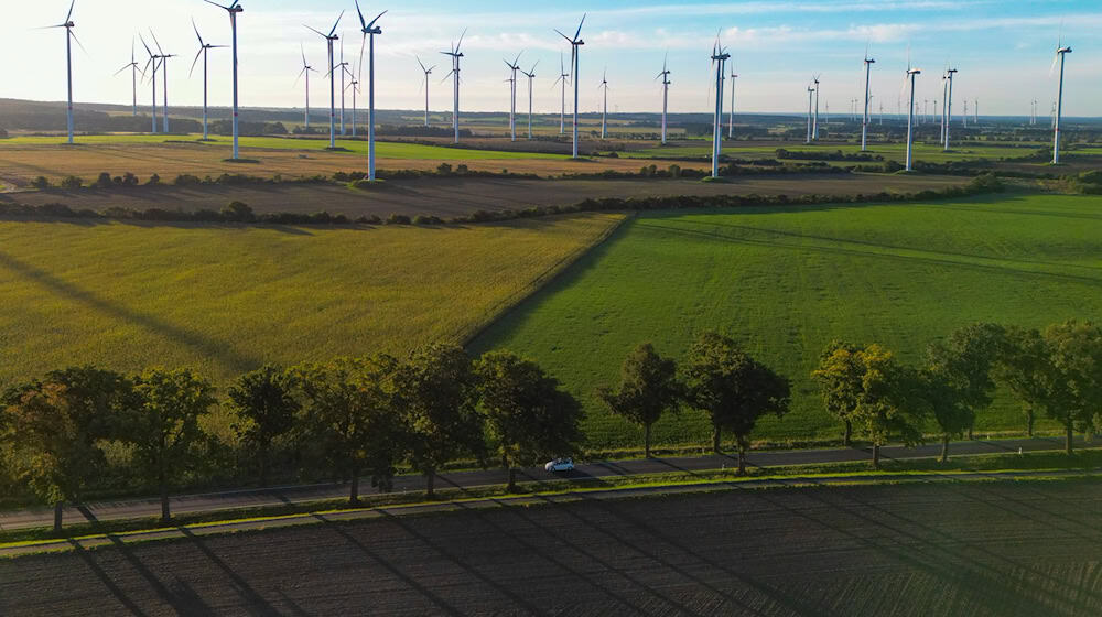 Der Brandenburger Landtag will einen «Wildwuchs» beim Ausbau der Windkraftanlagen verhindern (Archivbild). / Foto: Patrick Pleul/dpa/ZB