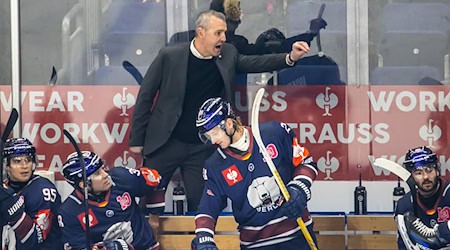 Coach Serge Aubin musste mit den Eisbären Berlin eine bittere Niederlage in Mannheim hinnehmen. (Archivbild) / Foto: Andreas Gora/dpa