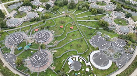 Im Dezember 2024 gab es schon mal einen Ausbruch der Krankheit im Berliner Tierheim. (Archivbild) / Foto: Sebastian Gollnow/dpa