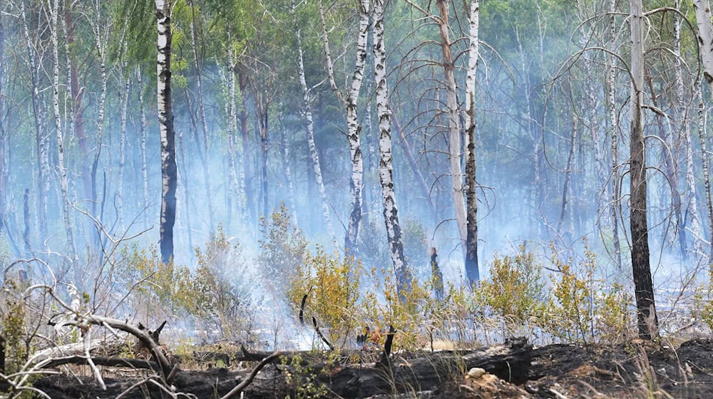 In der ersten Juli-Woche brach auf dem ehemaligen Truppenübungsplatz bei Jüterbog ein Waldbrand aus. (Archivbild) / Foto: Michael Bahlo/dpa In der ersten Juli-Woche brach auf dem ehemaligen Truppenübungsplatz bei Jüterbog ein Waldbrand aus. (Archivbild) / Foto: Michael Bahlo/dpa