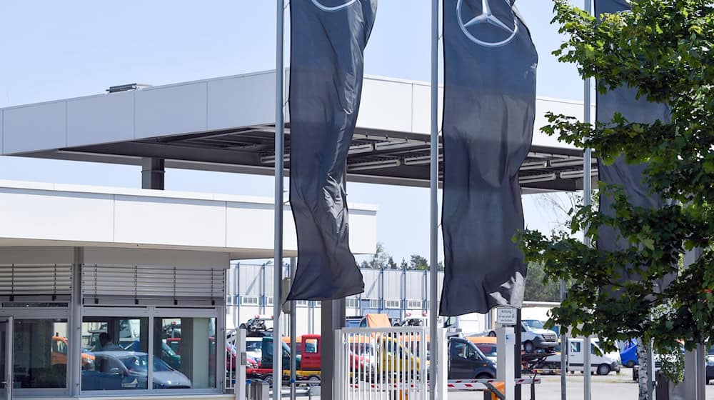 Die IG Metall setzt sich mit einer Aktion für den Erhalt des Werks von Mercedes-Benz in Ludwigsfelde ein, in dem derzeit Sprinter hergestellt werden (Archivbild). / Foto: Patrick Pleul/dpa-Zentralbild/ZB