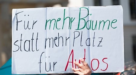 Mehr als 70 Prozent der Berliner wollen mehr Stadtgrün. (Archivbild) / Foto: Christophe Gateau/dpa