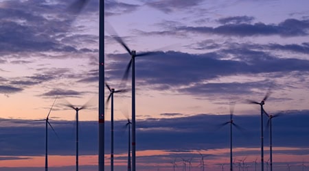 Der Ausbau der erneuerbaren Energien mit dem Bau von Windkraftanlagen löst auch Proteste aus. (Symbolbild) / Foto: Patrick Pleul/dpa