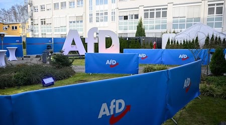 Für die AfD könnte die Party nach der Bundestagswahl weitreichende Folgen haben. (Archivbild) / Foto: Julian Stratenschulte/dpa
