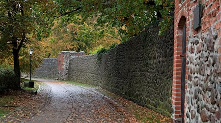 Passanten fanden den Toten in einem Graben an der Stadtmauer (Archivbild). / Foto: Soeren Stache/dpa-Zentralbild/ZB