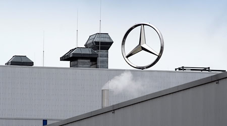 Mercedes-Benz will die Serienproduktion des Sprinters in Ludwigsfelde bis 2029 auslaufen lassen (Archivbild). / Foto: Soeren Stache/dpa-Zentralbild/dpa