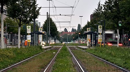 Im Berliner Südosten gibt es noch nicht überall wieder Strom - auch Ampeln und Straßenlaternen waren von dem Stromausfall betroffen. (Archivfoto)  / Foto: Michael Ukas/dpa