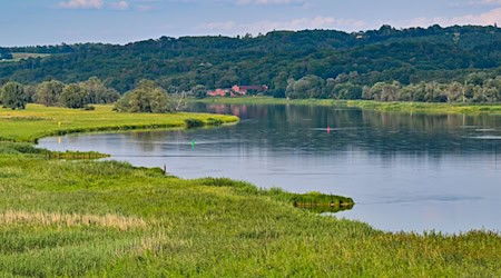 Beide Seiten der Oder werden künftig den Status eines Nationalparks haben. (Archivbild) / Foto: Patrick Pleul/dpa/ZB