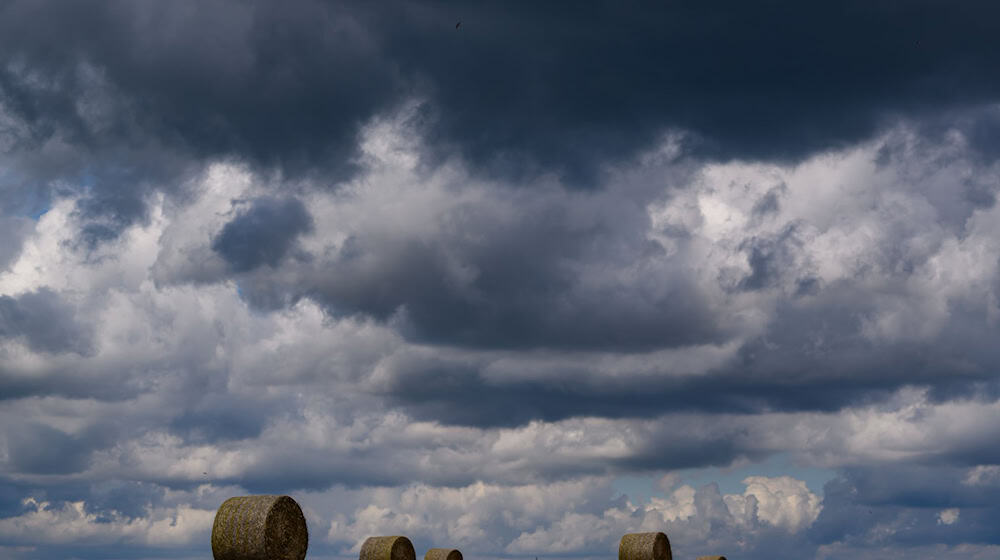 Regen kommt auf Teile von Berlin und Brandenburg zu. (Archivbild) / Foto: Patrick Pleul/dpa
