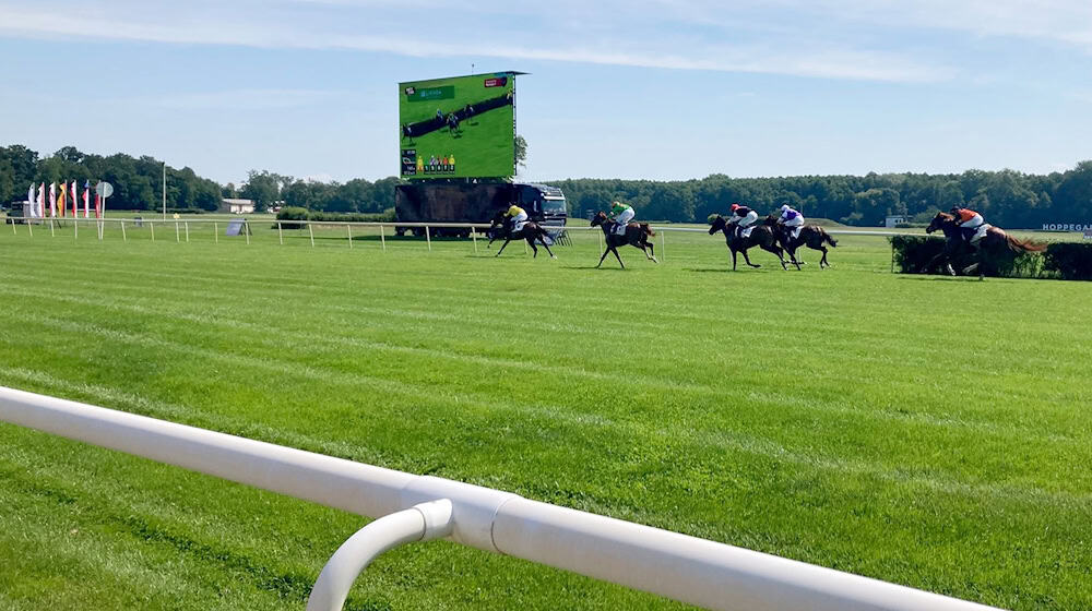 Auf der Galopprennbahn Hoppegarten steht der vorletzte Renntag an.  / Foto: Arne Richter/dpa