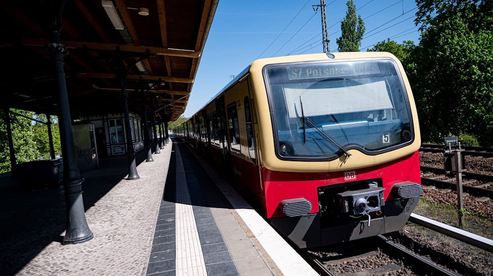 Die Baureihe 481 bildet das Rückgrat der Berliner S-Bahnflotte. (Archivbild) / Foto: Fabian Sommer/dpa