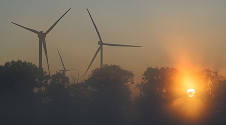 Der Spätsommer zeigt sich für kurze Zeit in Berlin und Brandenburg. (Symbolbild) / Foto: Patrick Pleul/dpa/ZB