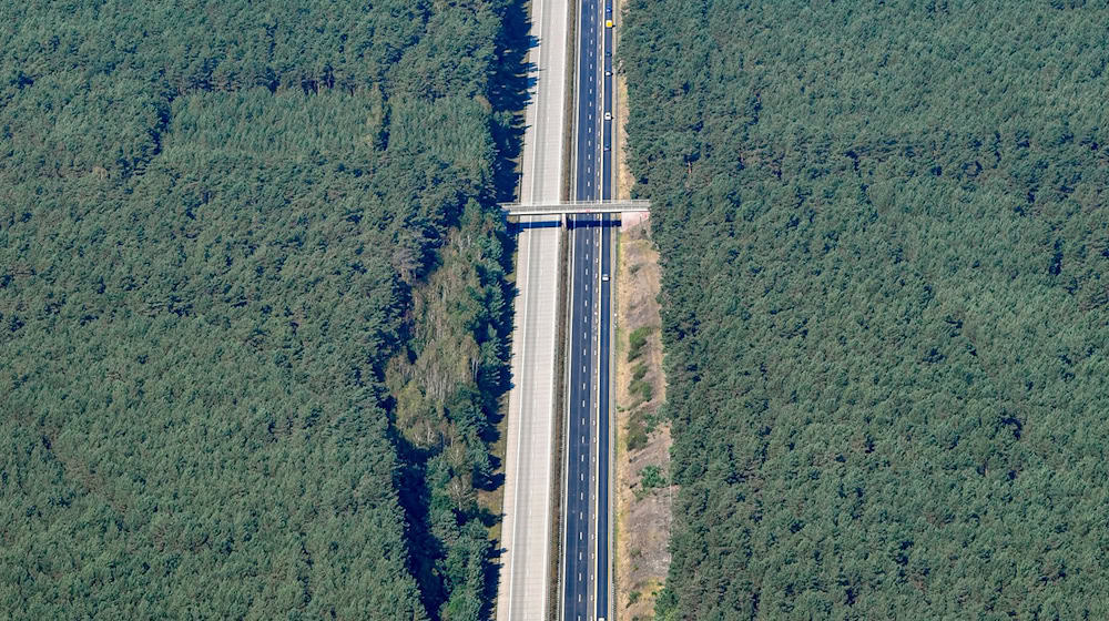 Die Sperrung der A15 ist wieder aufgehoben. (Archivbild) / Foto: Patrick Pleul/dpa-Zentralbild/ZB