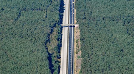 Die Sperrung der A15 ist wieder aufgehoben. (Archivbild) / Foto: Patrick Pleul/dpa-Zentralbild/ZB