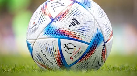 Für Brandenburgs Profi-Sportmannschaften läuft es durchwachsen. (Symbolbild) / Foto: Andreas Gora/dpa