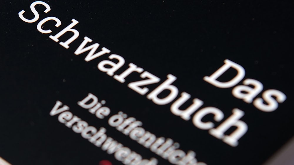 Der Bund der Steuerzahler kritisiert auch Projekte in Berlin. (Symbolbild) / Foto: Ralf Hirschberger/dpa-Zentralbild/dpa