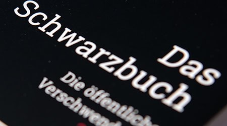Der Bund der Steuerzahler kritisiert auch Projekte in Berlin. (Symbolbild) / Foto: Ralf Hirschberger/dpa-Zentralbild/dpa