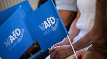 Laut einer Umfrage spricht sich die Mehrheit der Brandenburgerinnen und Brandenburger gegen eine Regierungsbeteiligung der AfD aus (Archivbild). / Foto: Britta Pedersen/dpa