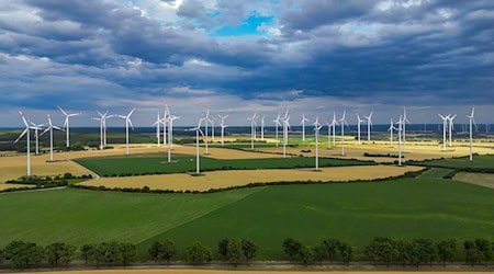 In der Energiewende-Rangliste des WWF liegt Brandenburg vorn. / Foto: Patrick Pleul/dpa