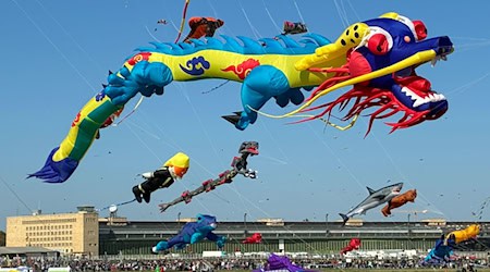 Die Drachen sind teils Dutzende Meter lang. / Foto: Caroline Bock/dpa