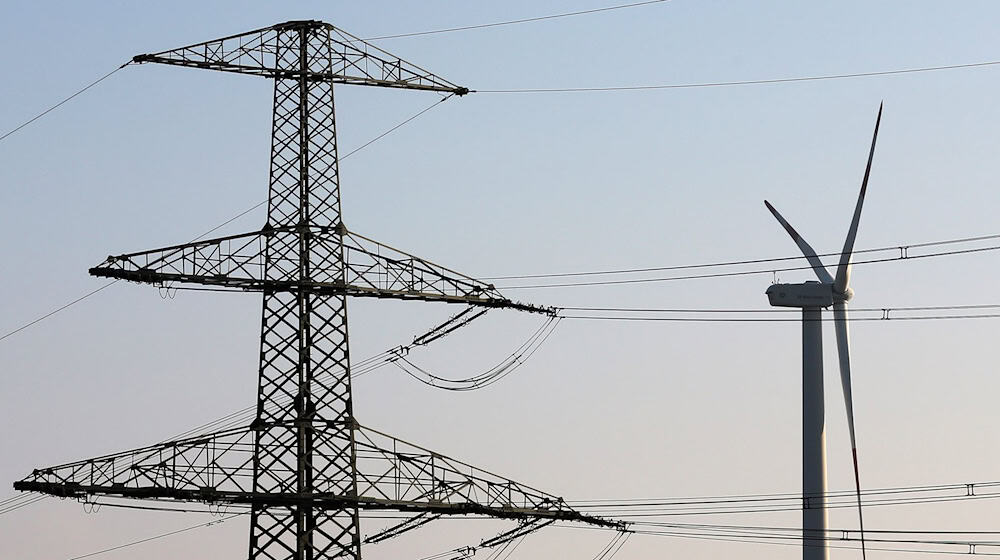 Schwankungen bei der Stromerzeugung sollen mit Batteriespeichern ausgeglichen und Engpässe im Stromnetz vermieden werden. (Symbolbild)  / Foto: Bernd Wüstneck/dpa